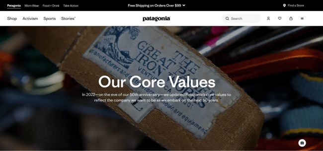 core values, patagonia
